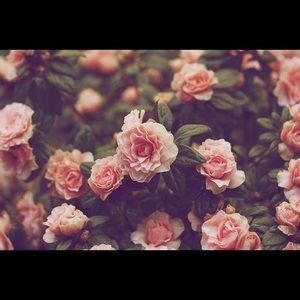 2 camera crochet bags